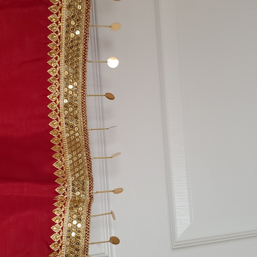 Pakistani/Indian formal Raw silk Shalwar kameez FINAL PRICE - Picture 5 of 14